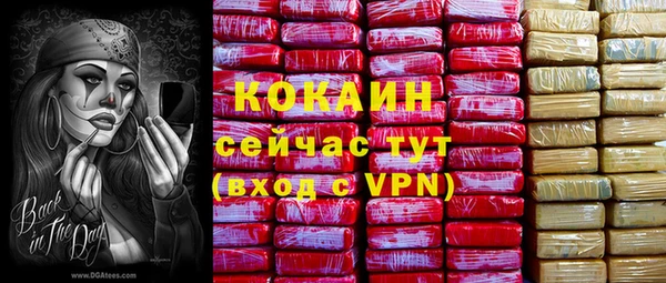прущий лед Абаза
