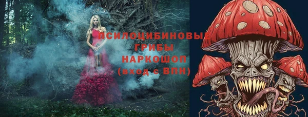 прущий лед Абаза