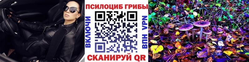 цены наркотик  Весьегонск  Галлюциногенные грибы MAGIC MUSHROOMS 