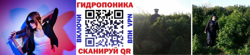 shop как зайти  MEGA маркетплейс  Весьегонск  Марихуана планчик 